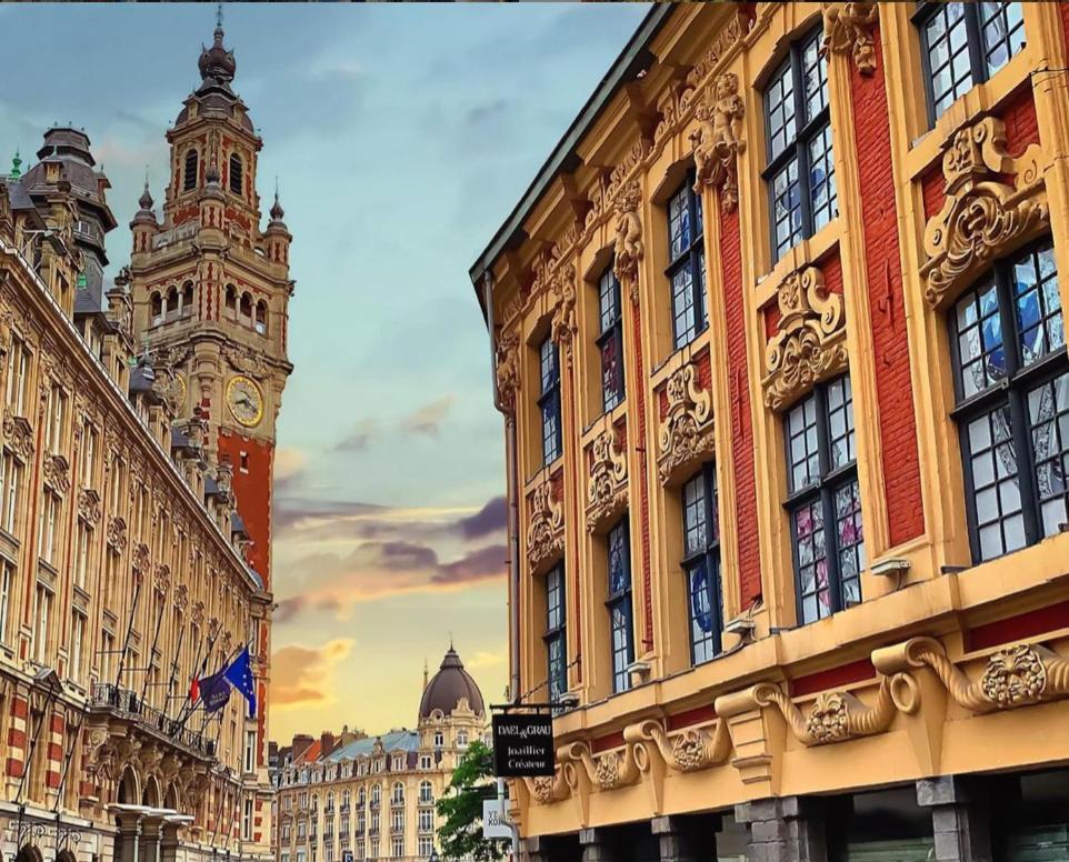 My Little Home - Le Vieux Lille De Leonard Luaran gambar
